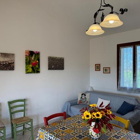Agriturismo I Debbi Bibbona Eksteriør bilde
