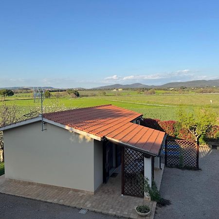 Agriturismo I Debbi Bibbona Eksteriør bilde