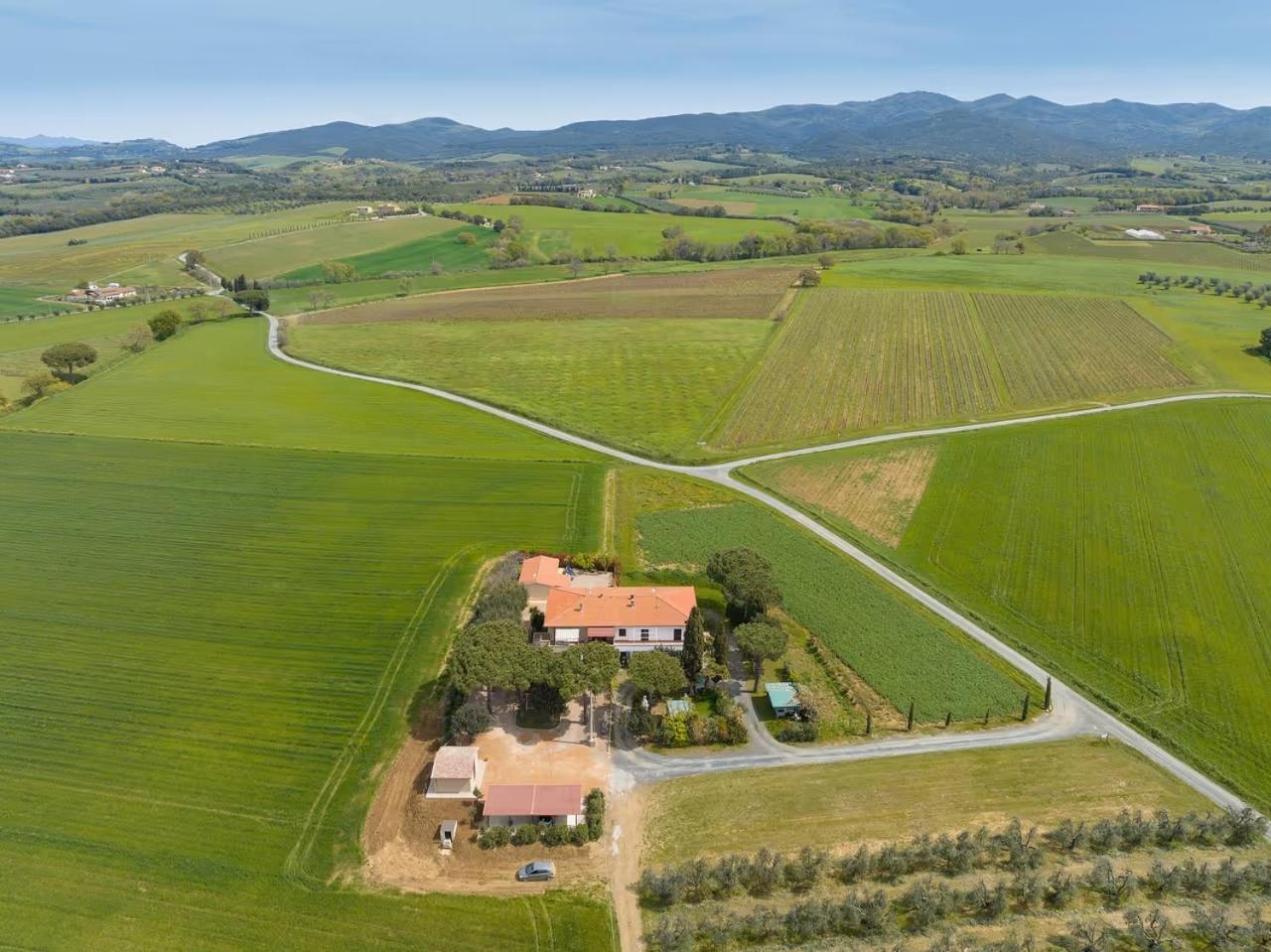 Agriturismo I Debbi Bibbona Eksteriør bilde