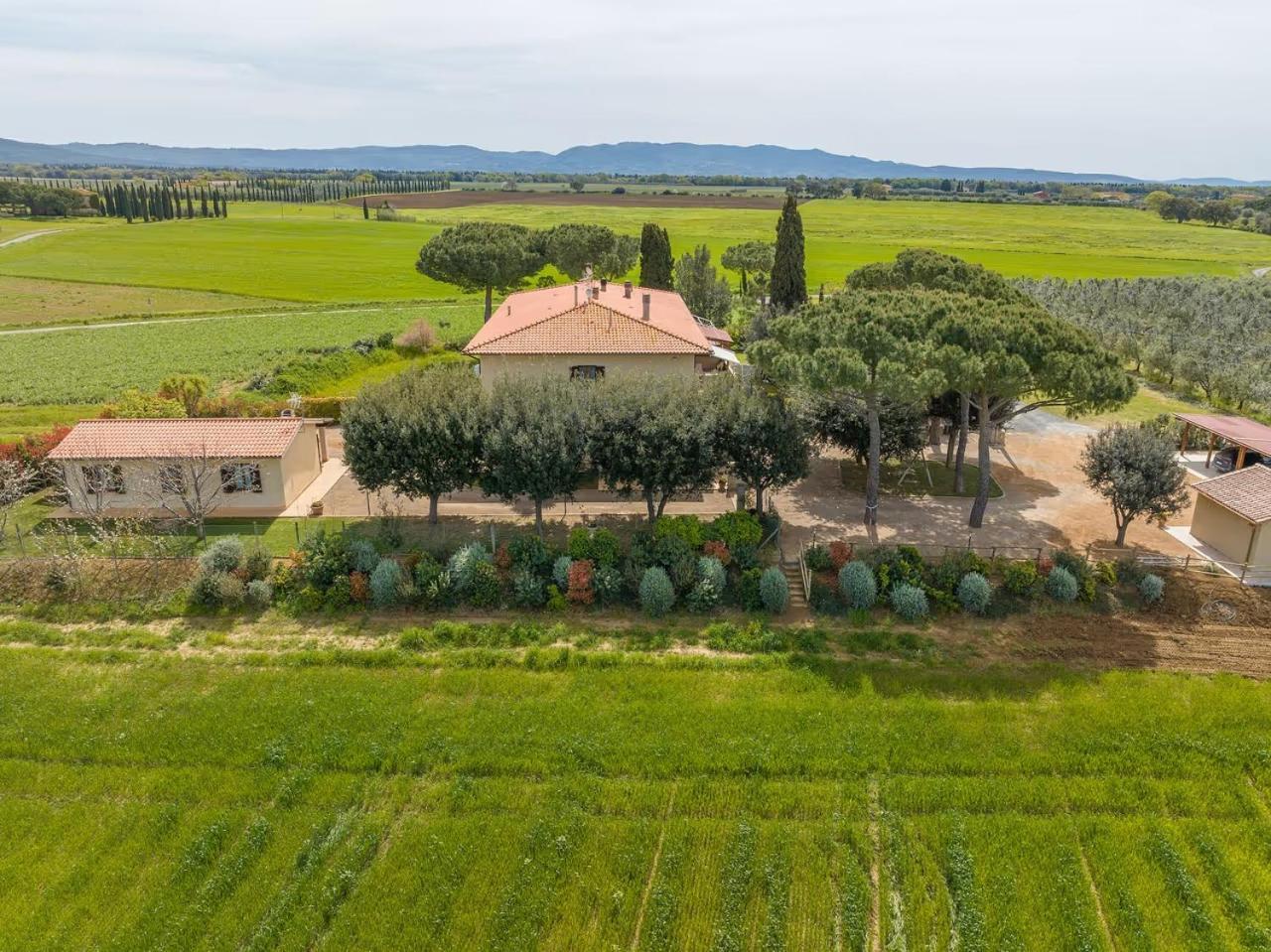 Agriturismo I Debbi Bibbona Eksteriør bilde