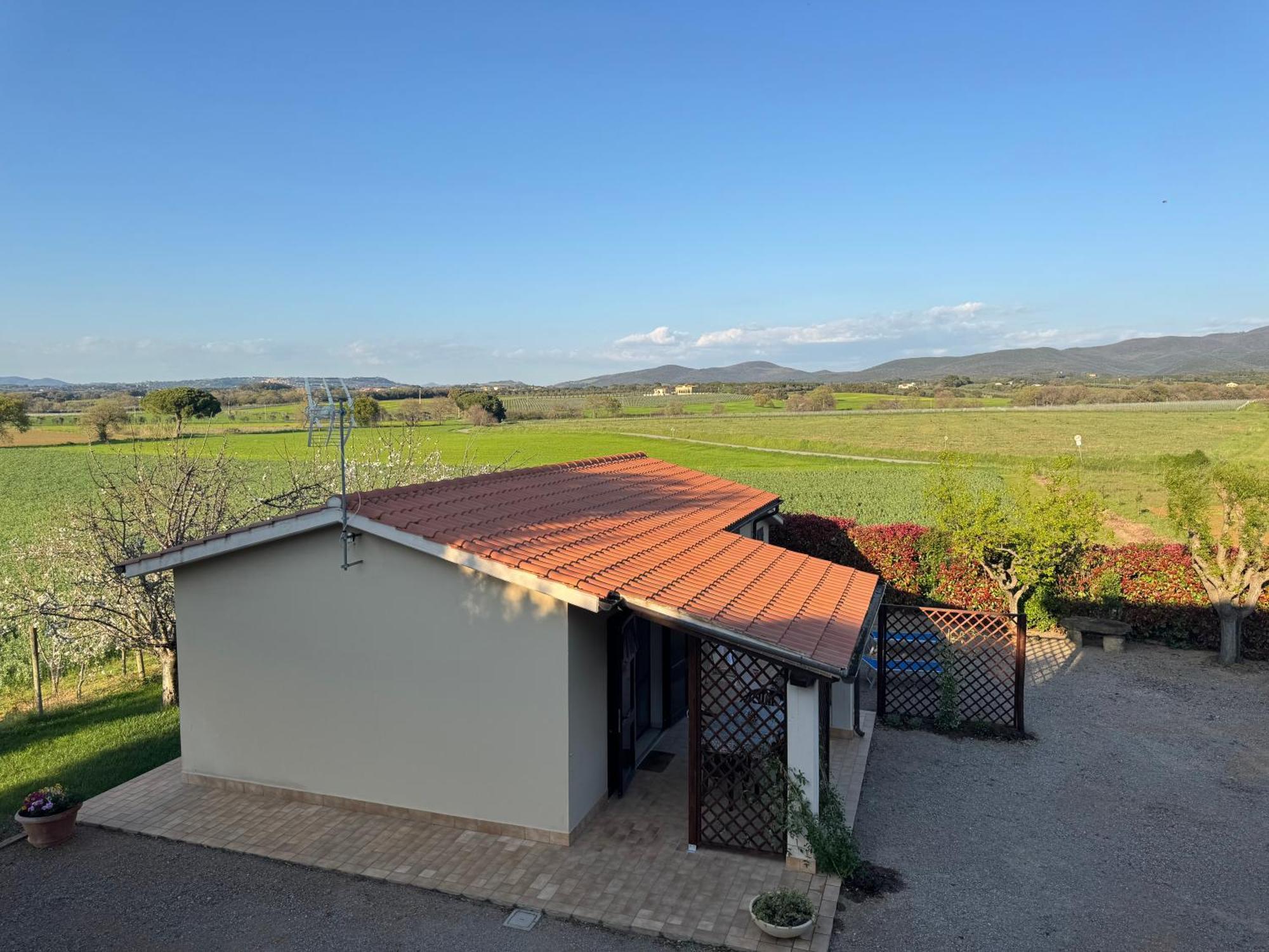 Agriturismo I Debbi Bibbona Eksteriør bilde