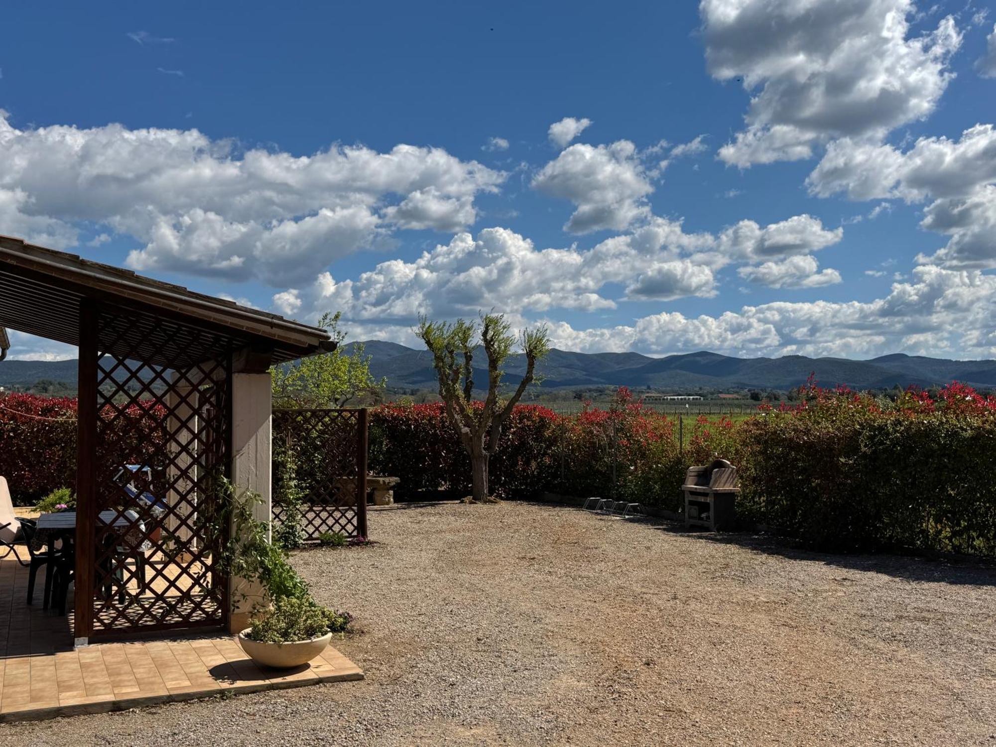 Agriturismo I Debbi Bibbona Eksteriør bilde